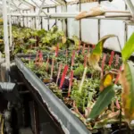 automatic home garden irrigation system