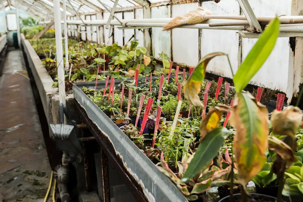 automatic home garden irrigation system
