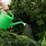 automatic garden irrigation system