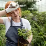 garden watering mistakes