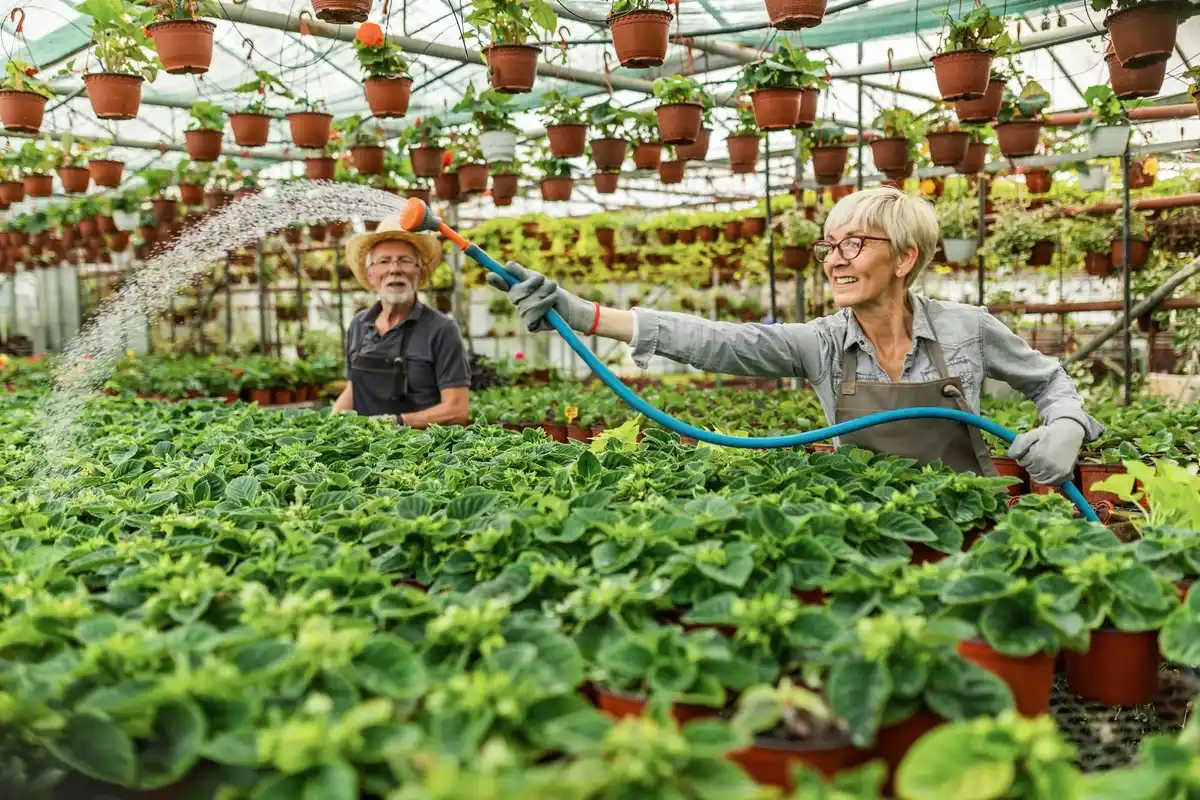 automatic garden irrigation system Czech Republic
