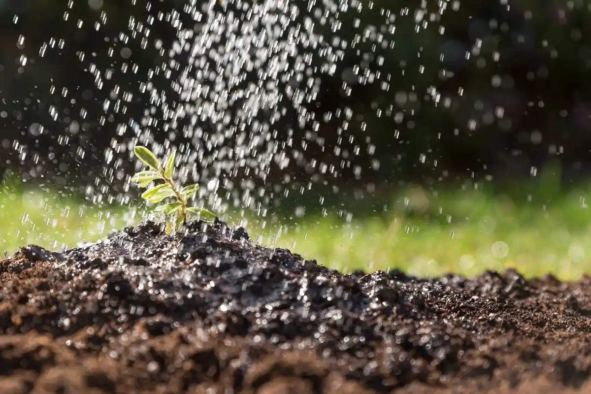 garden irrigation system automatic drip sprinkler