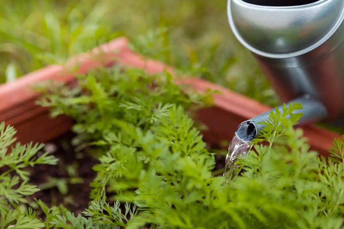 automatic garden irrigation system