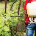 drip irrigation system garden Czech Republic
