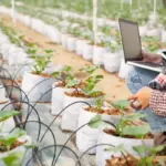 smart irrigation system garden watering