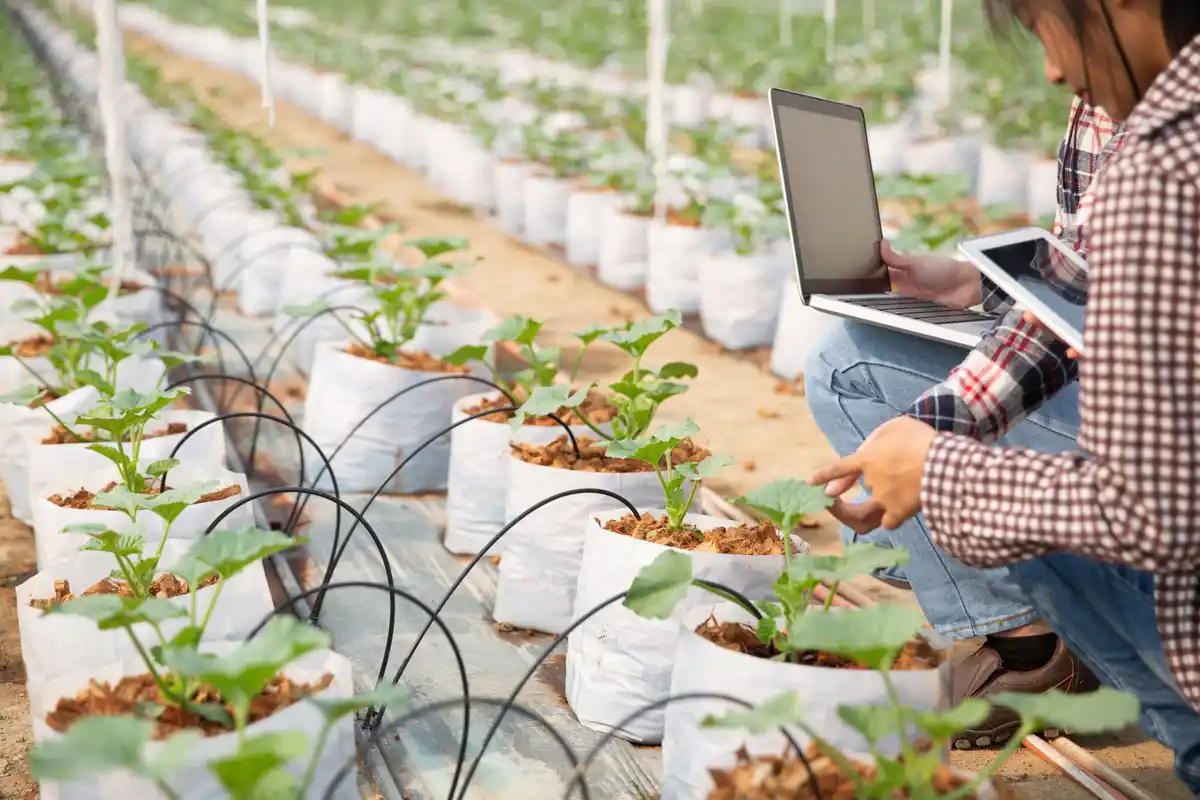 smart irrigation system garden watering