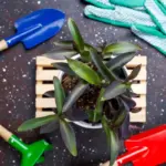 garden tools latest trends 2024