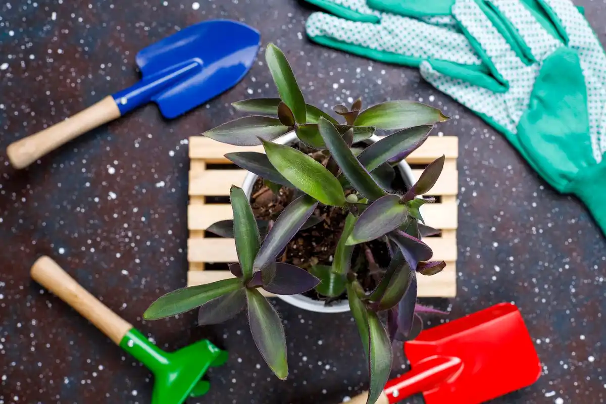 garden tools latest trends 2024