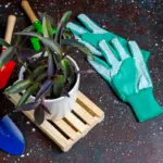 garden tools essential home