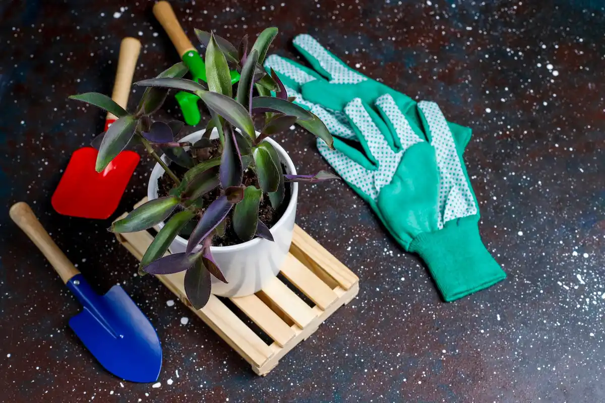 garden tools essential home
