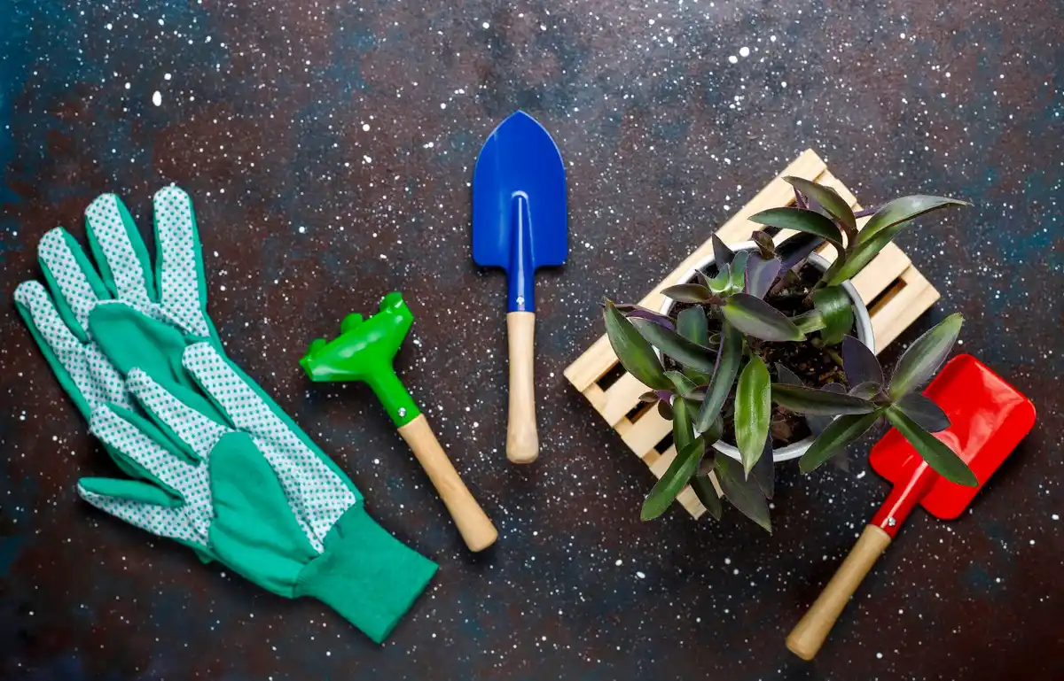 basic gardening tools backyard garden
