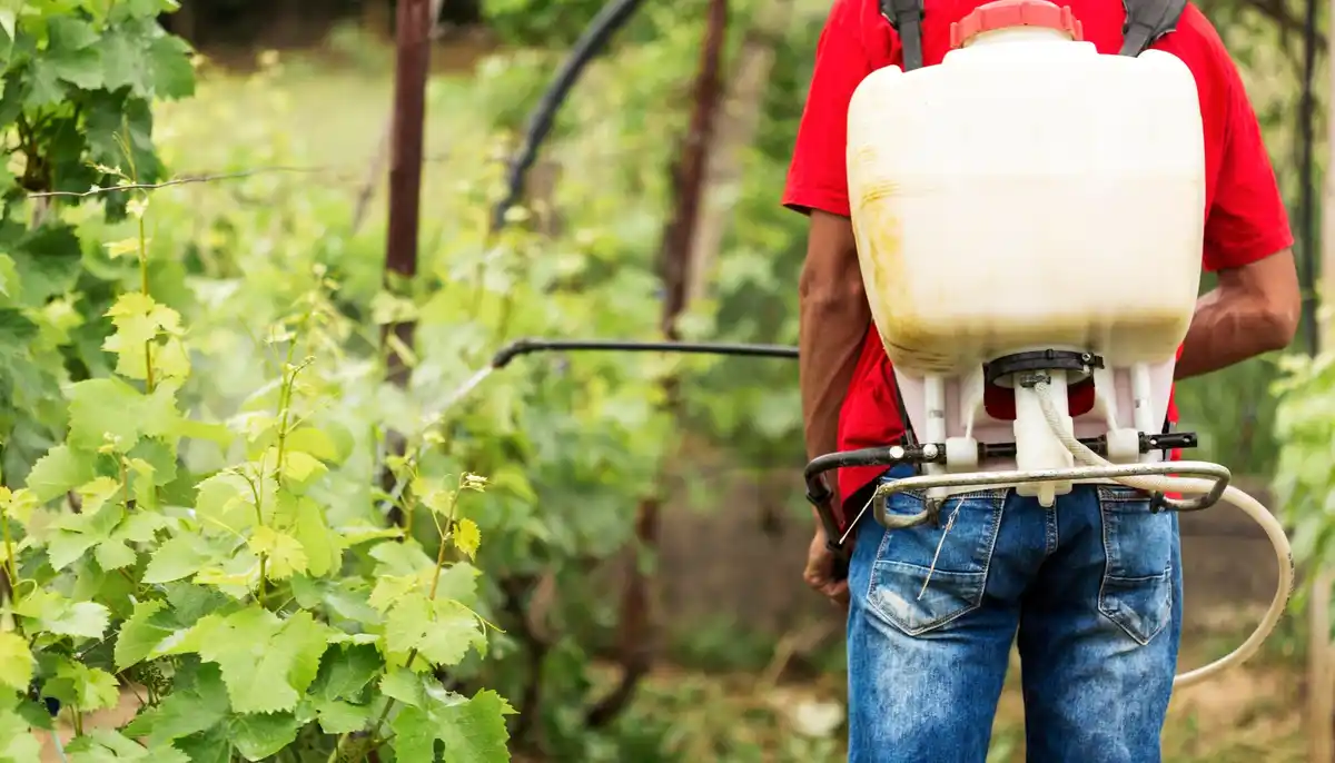 natural garden pest control methods