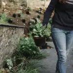 garden plant protection mistakes Czech garden