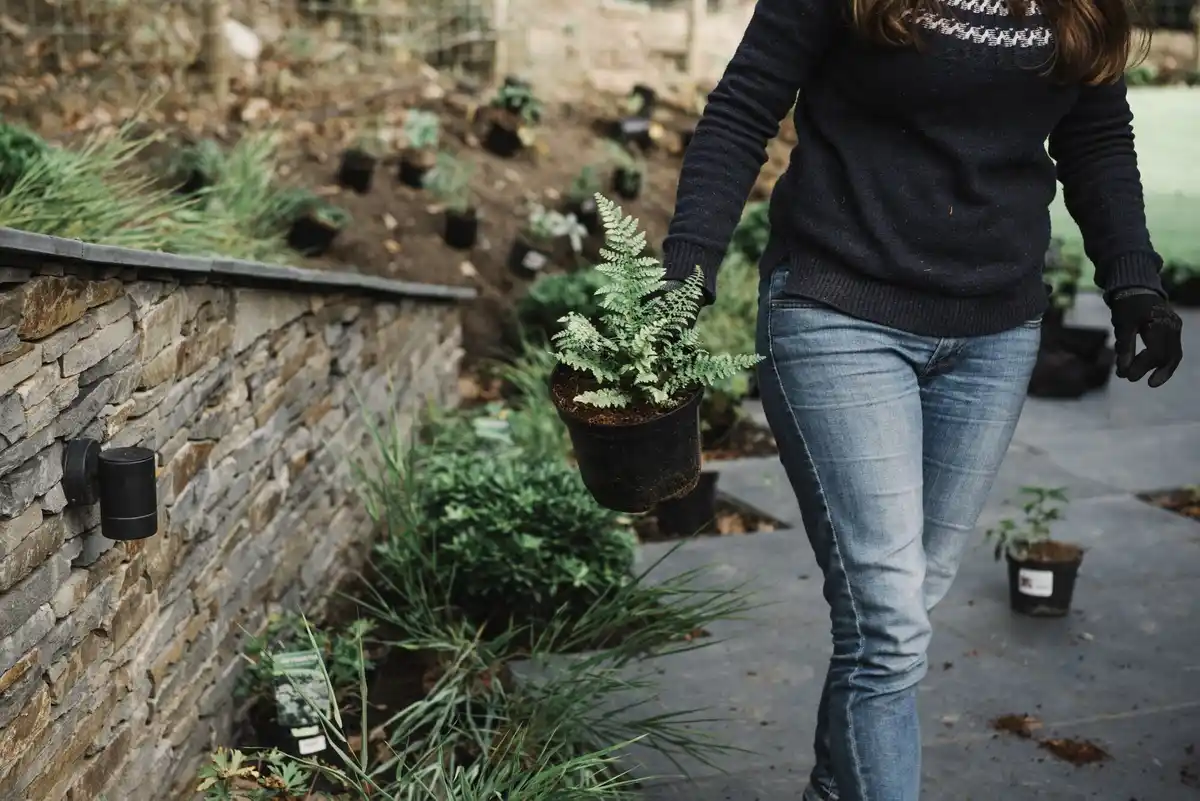 garden plant protection mistakes Czech garden