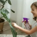 organic garden pest control homemade remedies