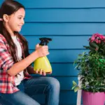 indoor plant pest control home remedies