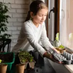balkon vegetable garden small space balcony plants