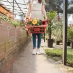 vegetable container gardening balcony urban