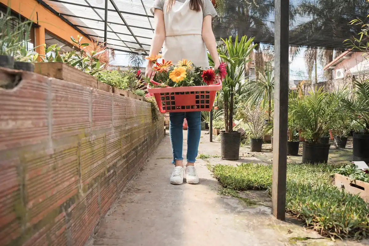 vegetable container gardening balcony urban