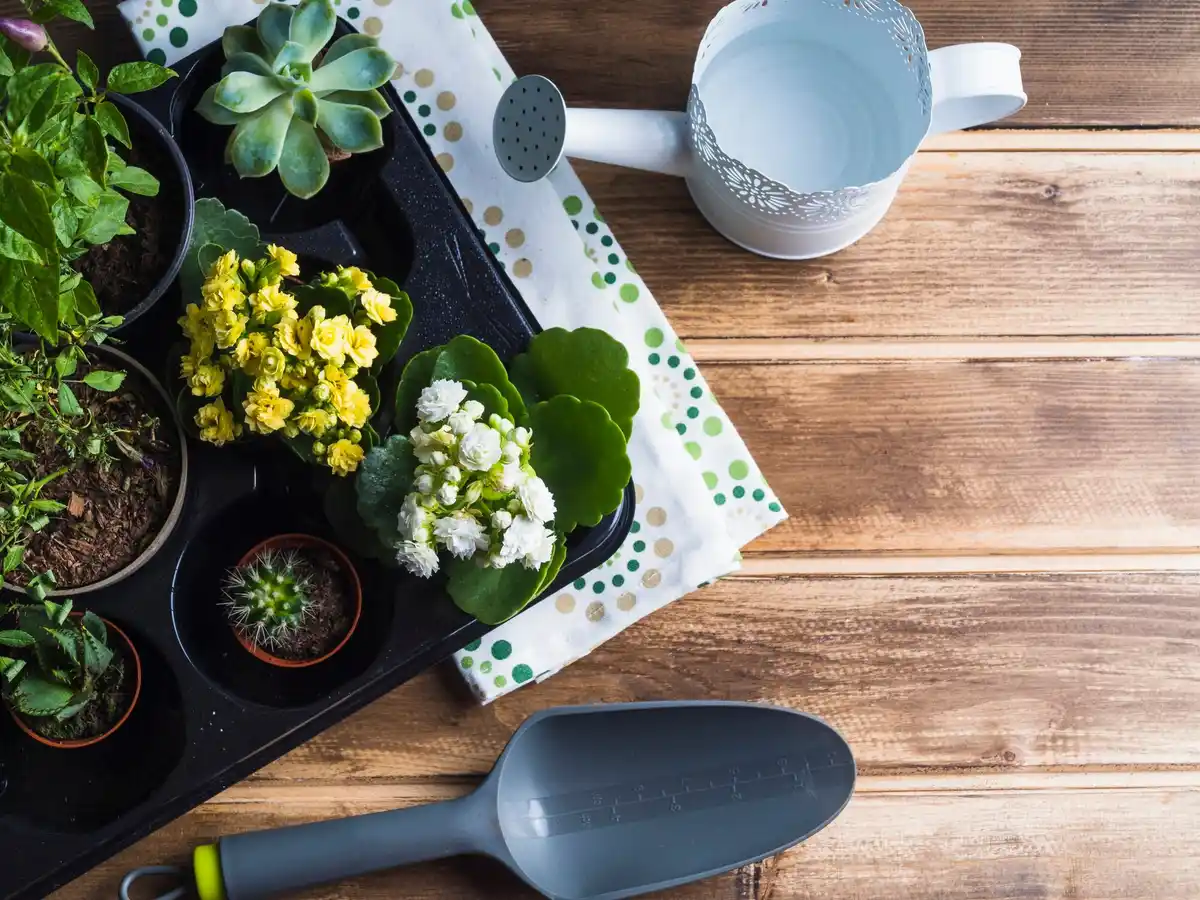 container gardening small space