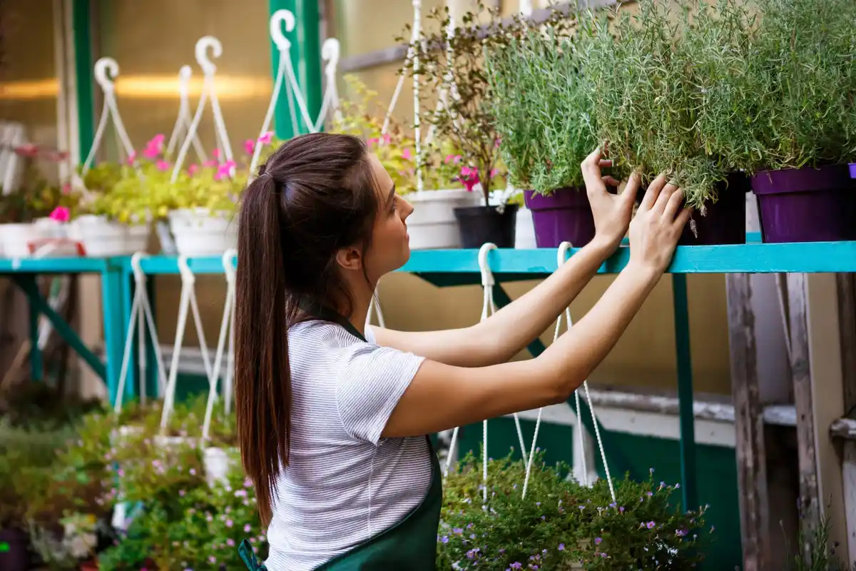 urban gardening balcony terrace plants herbs vegetables