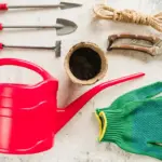 garden tools essential 2024