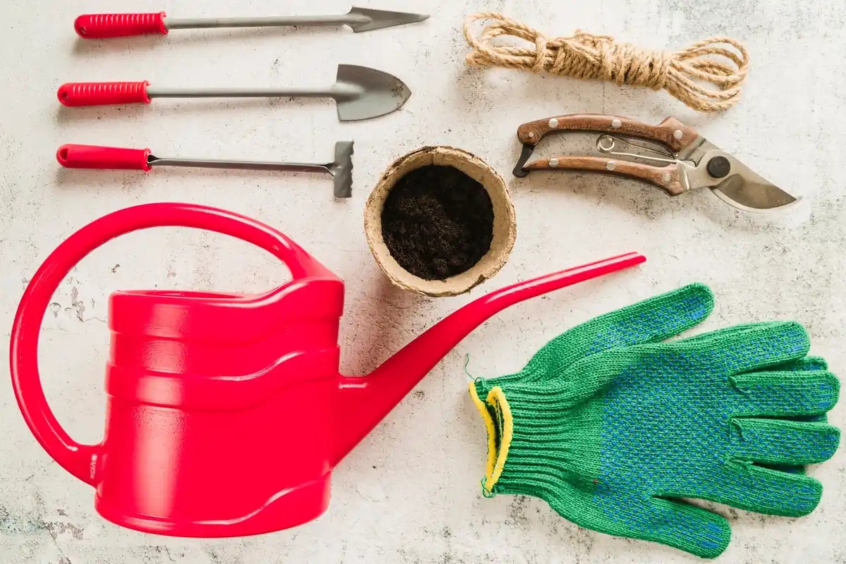 garden tools essential 2024