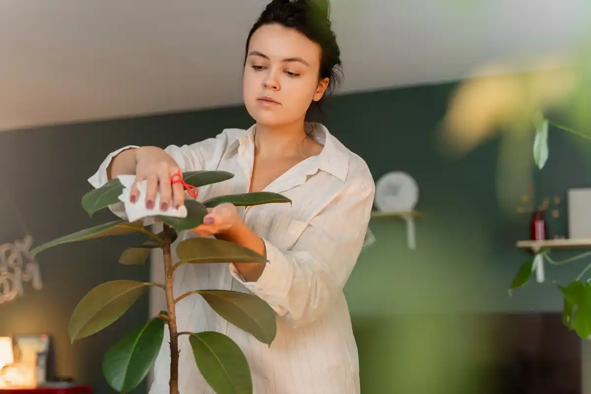 houseplants care mistakes