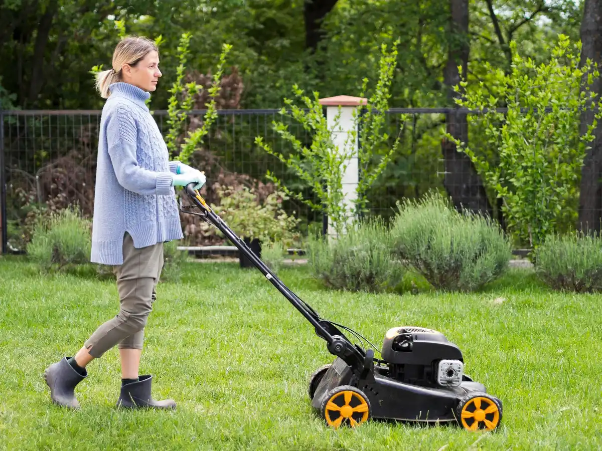 garden equipment lawn mower trimmer leaf blower