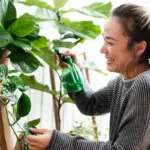 balcony plants watering fertilizing tips