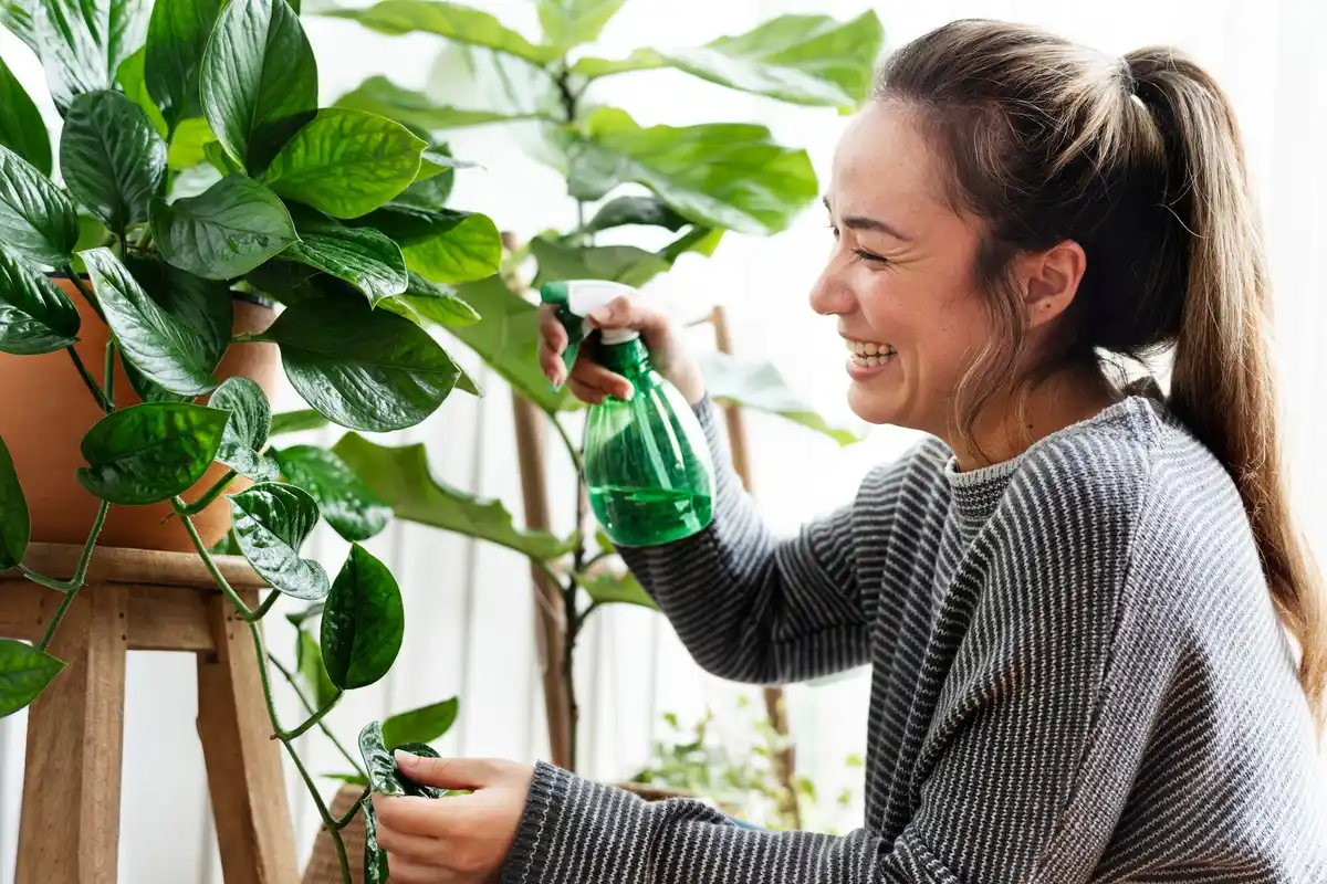 balcony plants watering fertilizing tips