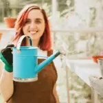 garden care tips easy maintenance