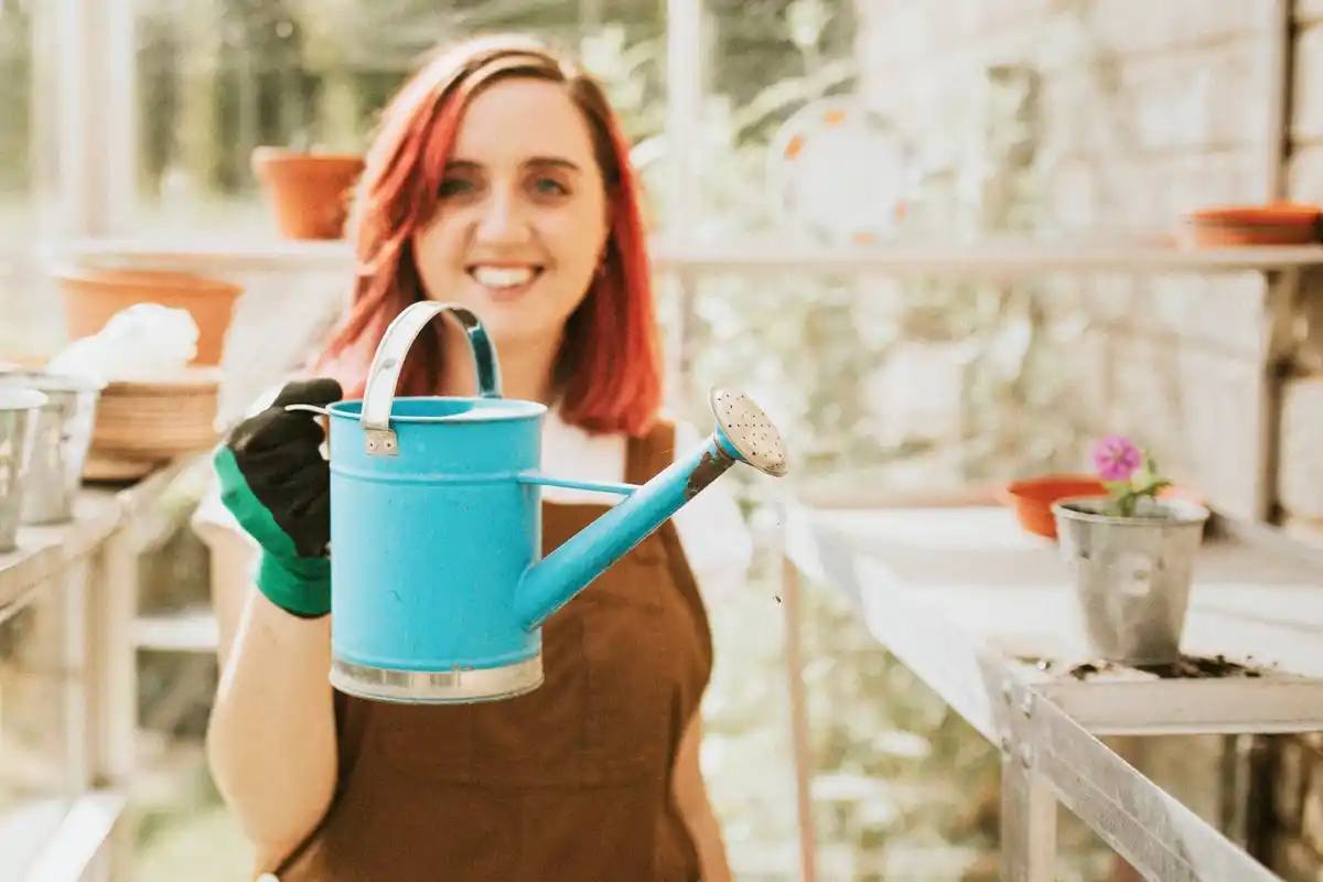 garden care tips easy maintenance