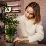 indoor plants care tips