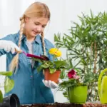 balcony plants gardening beginner