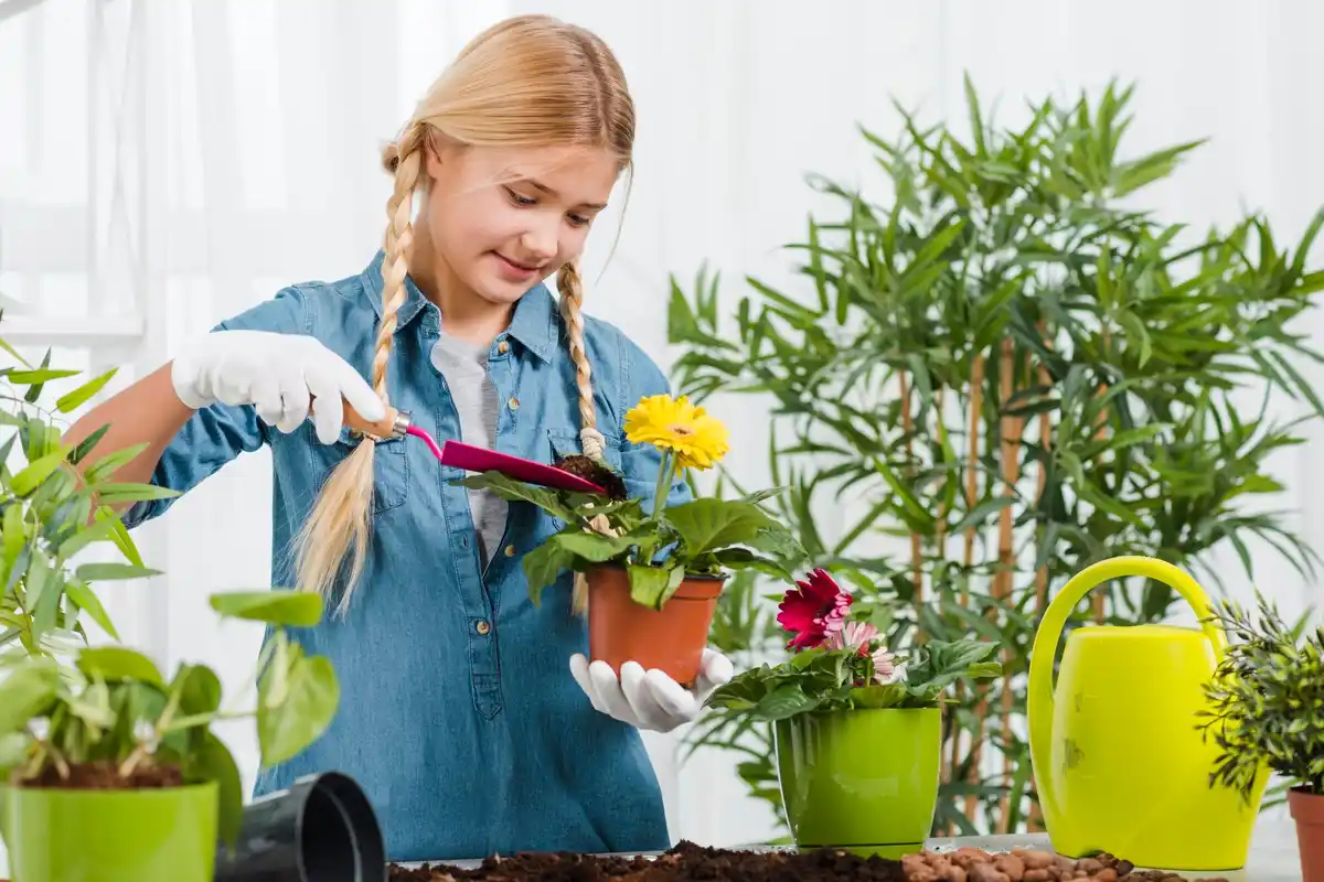 balcony plants gardening beginner