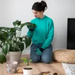 indoor plants care mistakes