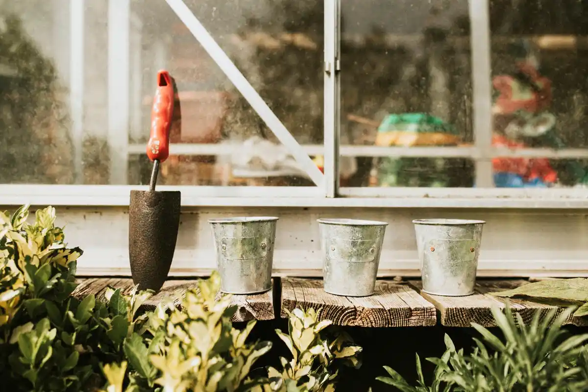 balkon garden urban gardening vegetables