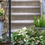 small container garden urban balcony plants