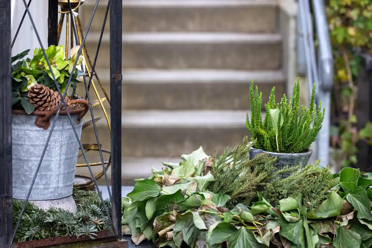 small container garden urban balcony plants