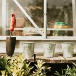 urban vegetable gardening small pots