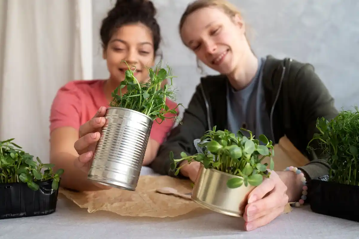 small herb garden balcony urban gardening