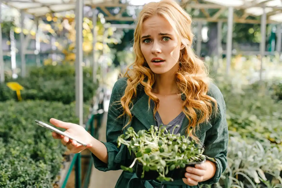 eco-friendly garden mistakes