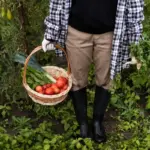organic vegetable gardening Czech Republic
