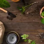 natural organic gardening fertilizer compost