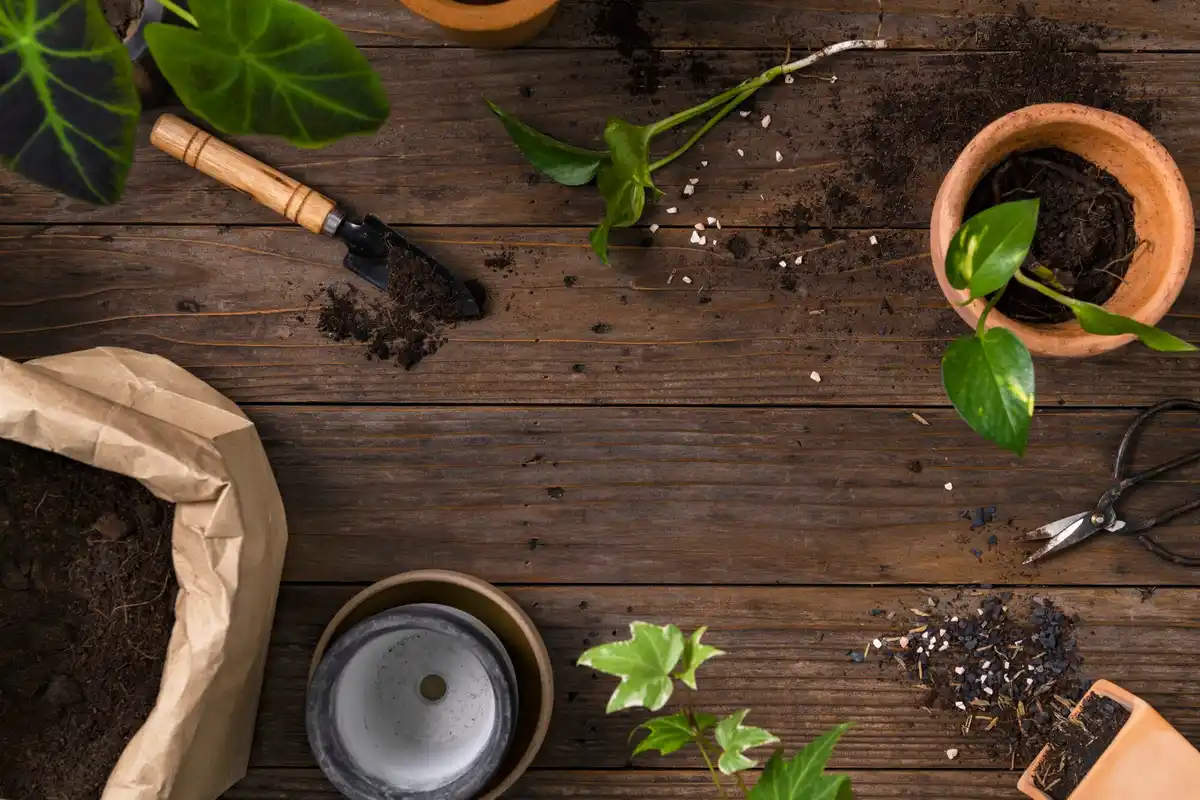 natural organic gardening fertilizer compost