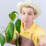 organic farming myths