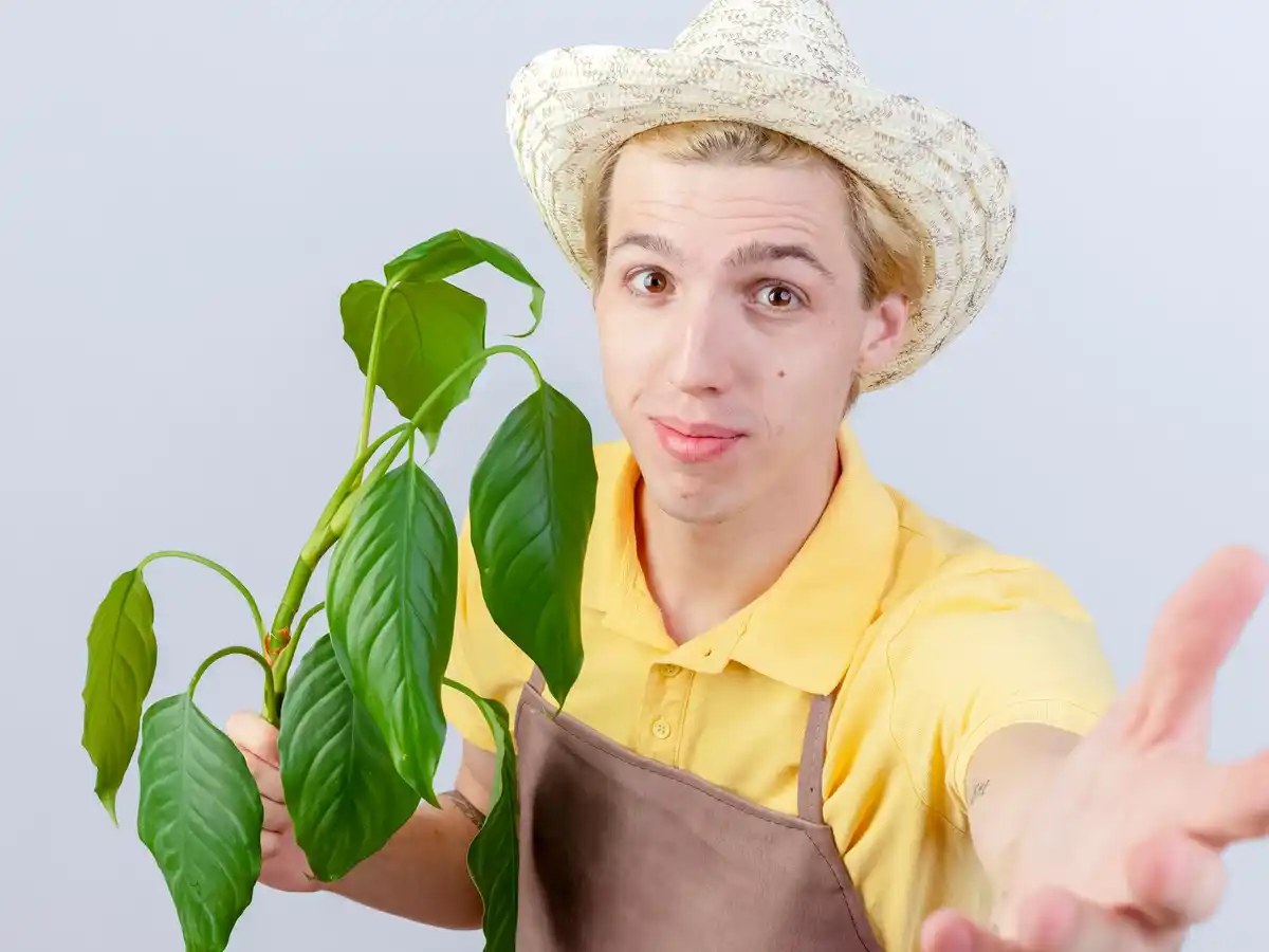 organic farming myths