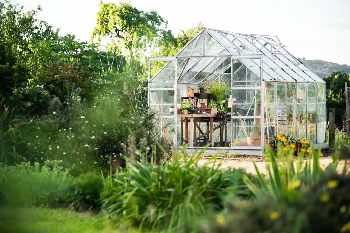 automated garden irrigation system