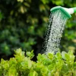 automatic garden irrigation system watering plants